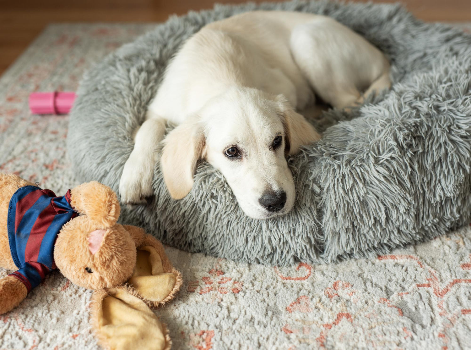 Dog resting on a dog bed beside a stuffed toy