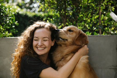 Adult dog healthy and settled