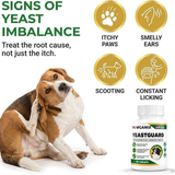 Signs of yeast imbalance in dogs: itchy paws, smelly ears, scooting, constant licking