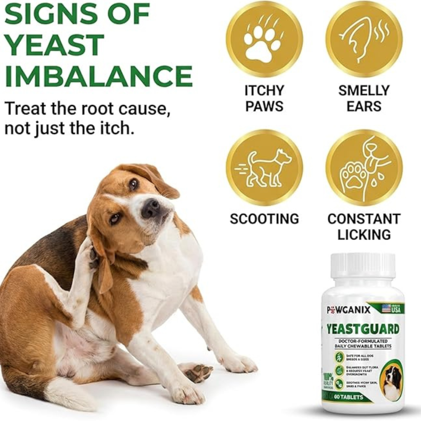 Dog with symptoms of yeast imbalance and a bottle of YeastGuard supplement on a white background
