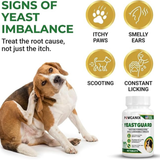 Dog with symptoms of yeast imbalance and a bottle of YeastGuard supplement on a white background