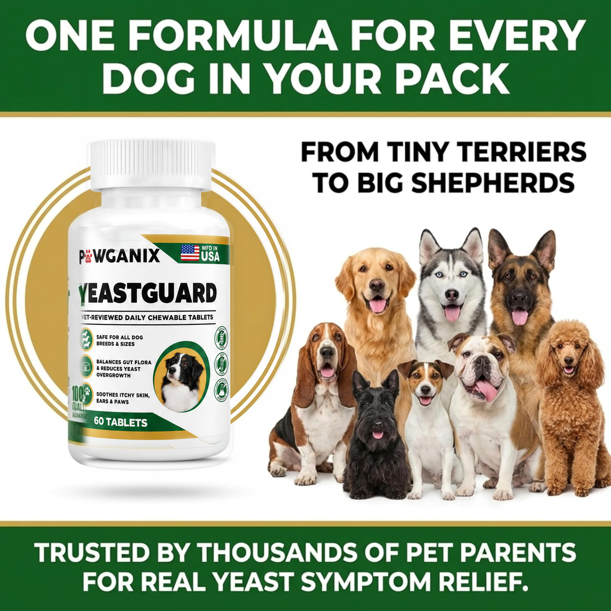 One formula for every dog in your pack, from tiny terriers to big shepherds