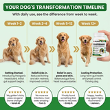 Your dog's transformation timeline week by week with YeastGuard