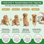 Dog transformation timeline with images of dogs and a bottle of Pawganix YeastGuard on a green background.