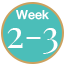 Circular badge with 'Week 2-3' text on a white background