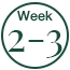 Circular badge with 'Week 2-3' text on a white background