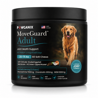 MoveGuard Adult black jar of joint health support soft chews