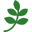 Green leaf logo on a white background