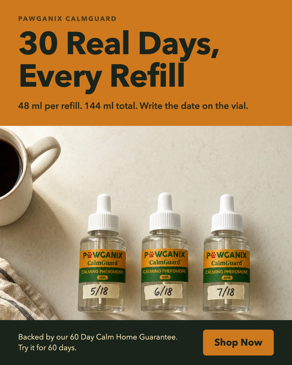 Three CalmGuard 48 ml calming pheromone refill vials laid out on a kitchen counter with swap dates written on each one, 30 real days from every refill