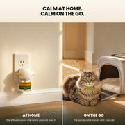 Left, the CalmGuard diffuser plugged into a wall outlet at skirting height. Right, a tabby cat wearing the calming collar beside an open carrier