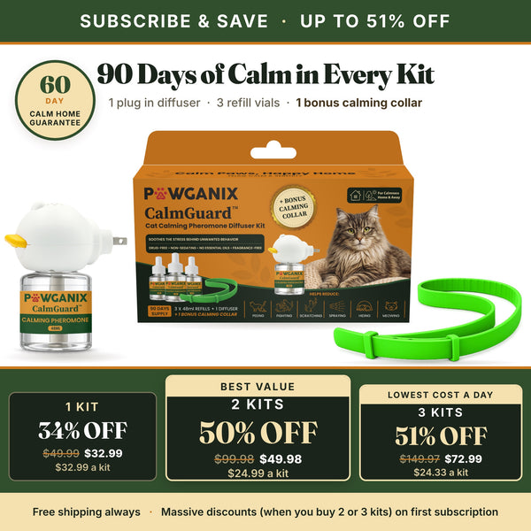 CalmGuard cat calming pheromone diffuser kit subscribe and save offer showing the box, the plug in diffuser, a refill vial and the neon green breakaway calming collar, with 90 days of calm in every kit and pricing for one, two or three kits