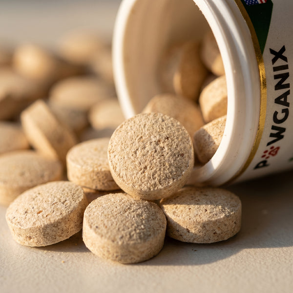 Pet supplement tablets spilling out of a container labeled 'Wganix' on a light surface.