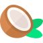 Coconut with a green leaf on a white background