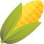 Corn cob with yellow kernels on a white background