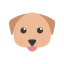 Close-up of a dog's face with a focus on its nose and mouth area.