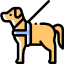 Dog icon on a white background