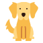 Yellow plush dog toy on a white background