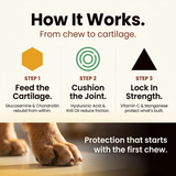 Infographic displaying the premium manufacturing credentials of Pawganix MoveGuard Growth, showcasing seals for Vet Reviewed, GMP Certified, NSF Facility, Made in USA, and 100% natural chicken liver flavor.