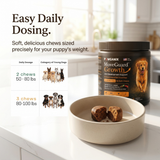 A happy Golden Retriever sitting next to a MoveGuard Growth container with a clear feeding guide breakdown, showing a 2-chew daily dosage for 50-80 lbs dogs and a 3-chew dosage for 80-100+ lbs dogs.