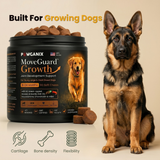 A German Shepherd puppy sitting next to a tub of Pawganix MoveGuard Growth under the headline 'Built For Growing Dogs', with icons below highlighting cartilage, bone density, and flexibility benefits available at www.pawganix.com.