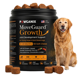 Front view of a black tub of Pawganix MoveGuard Growth Joint Development Support soft chews for young large and giant breed dogs, displayed next to a sitting adult Golden Retriever against a white background.