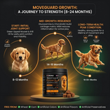 An infographic detailing the core ingredients of Pawganix MoveGuard Growth, highlighting New Zealand Green-Lipped Mussel, Antarctic Krill Oil, Glucosamine, Chondroitin, and Manganese with their specific joint and cartilage development benefits.