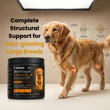 Product infographic for Pawganix MoveGuard Growth featuring a Golden Retriever with a digital skeletal overlay analyzing joint space, force distribution matrix, and muscle tension vectors for fast-growing large breed dogs.