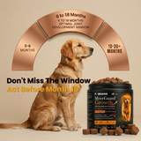 An infographic chart demonstrating the 6 to 18 months optimal joint development window for large dogs, encouraging pet owners to use Pawganix MoveGuard Growth before month 18 to support healthy canine joint formation