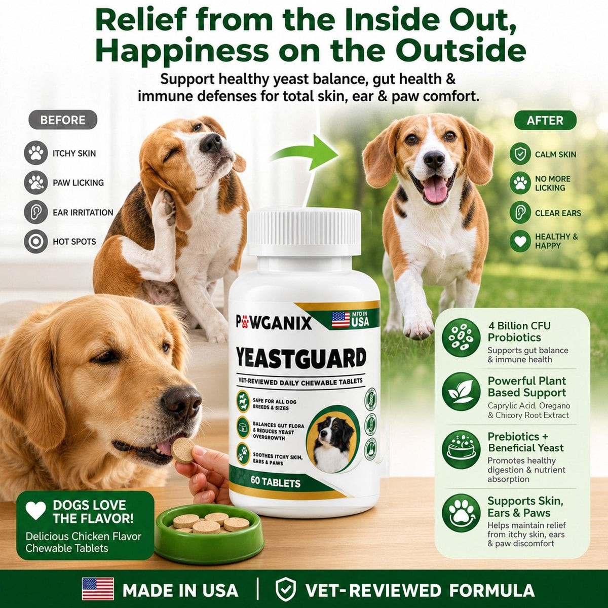 Relief from the inside out: 4 Billion CFU probiotics, caprylic acid, oregano and chicory root, vet reviewed