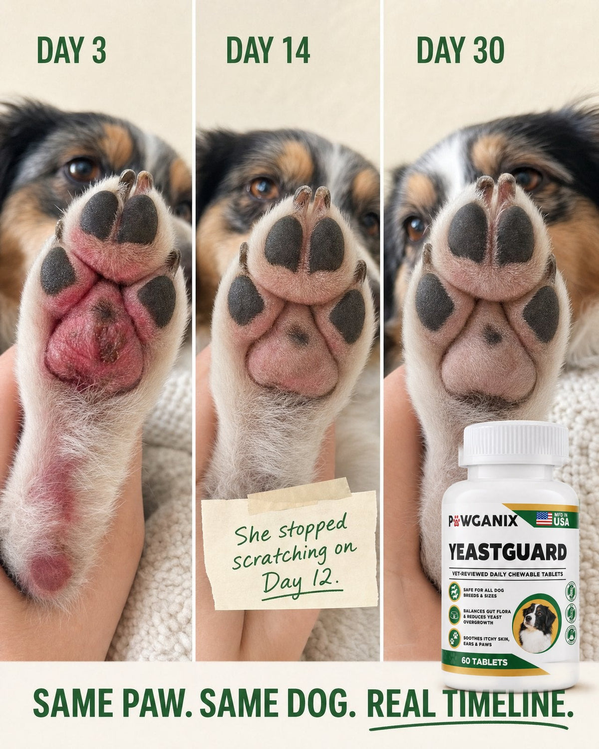 Same paw, same dog: day 3, day 14 and day 30 of YeastGuard