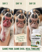 Same paw, same dog: day 3, day 14 and day 30 of YeastGuard