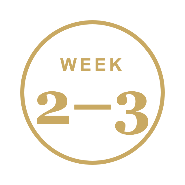 Week 2-3 timeline badge