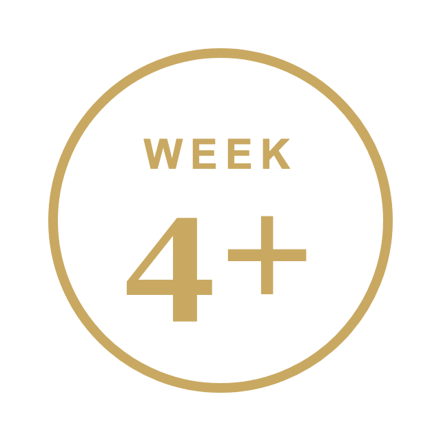 Week 4+ timeline badge