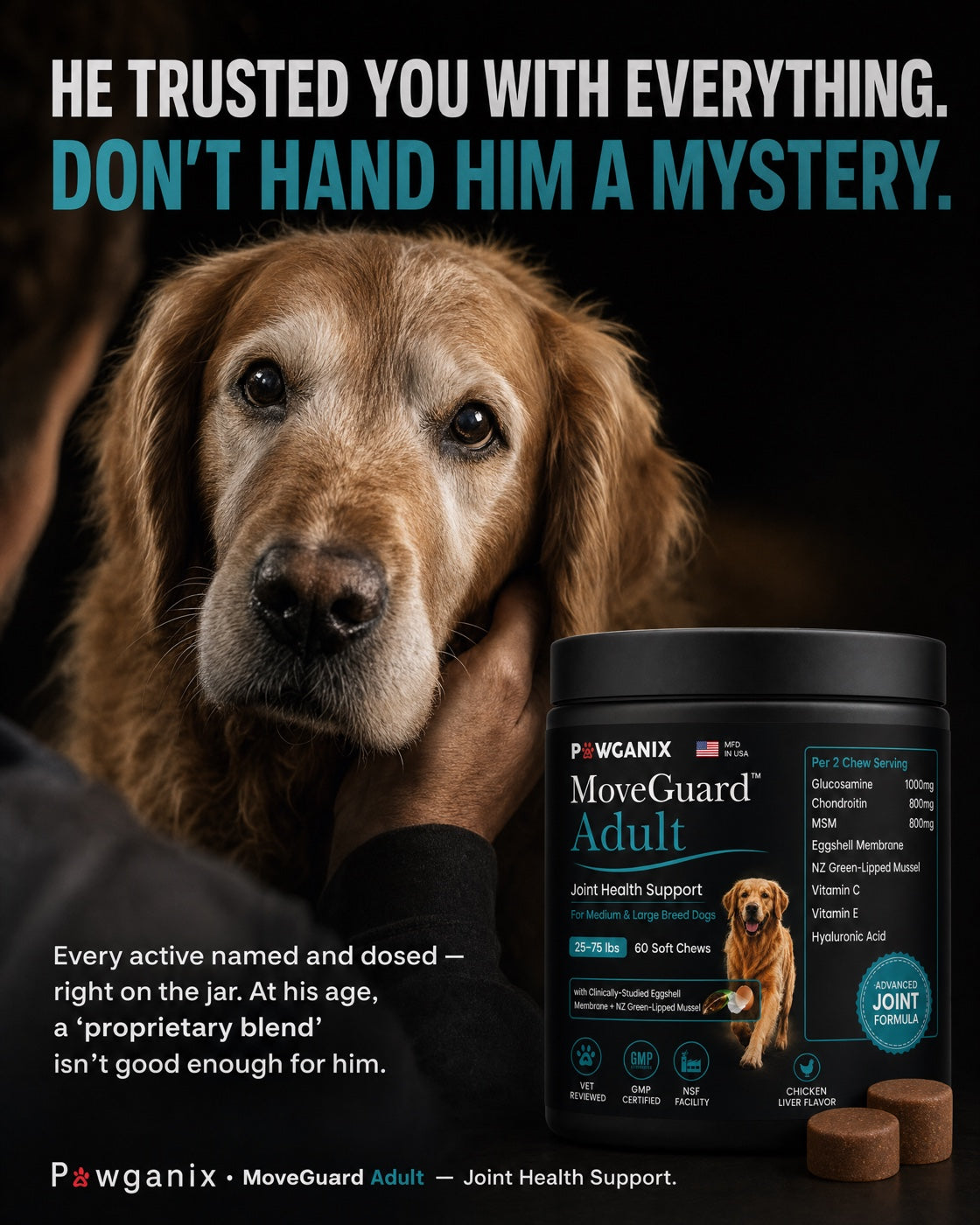 MoveGuard Adult joint-health support for medium & large adult dogs