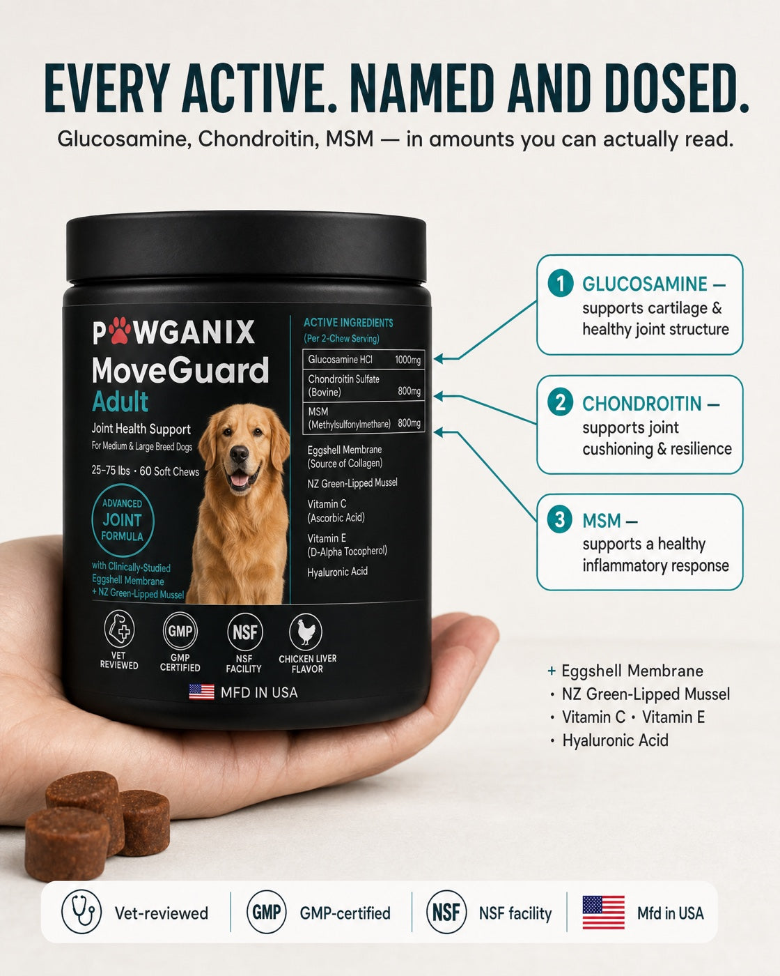 MoveGuard Adult joint-health support for medium & large adult dogs