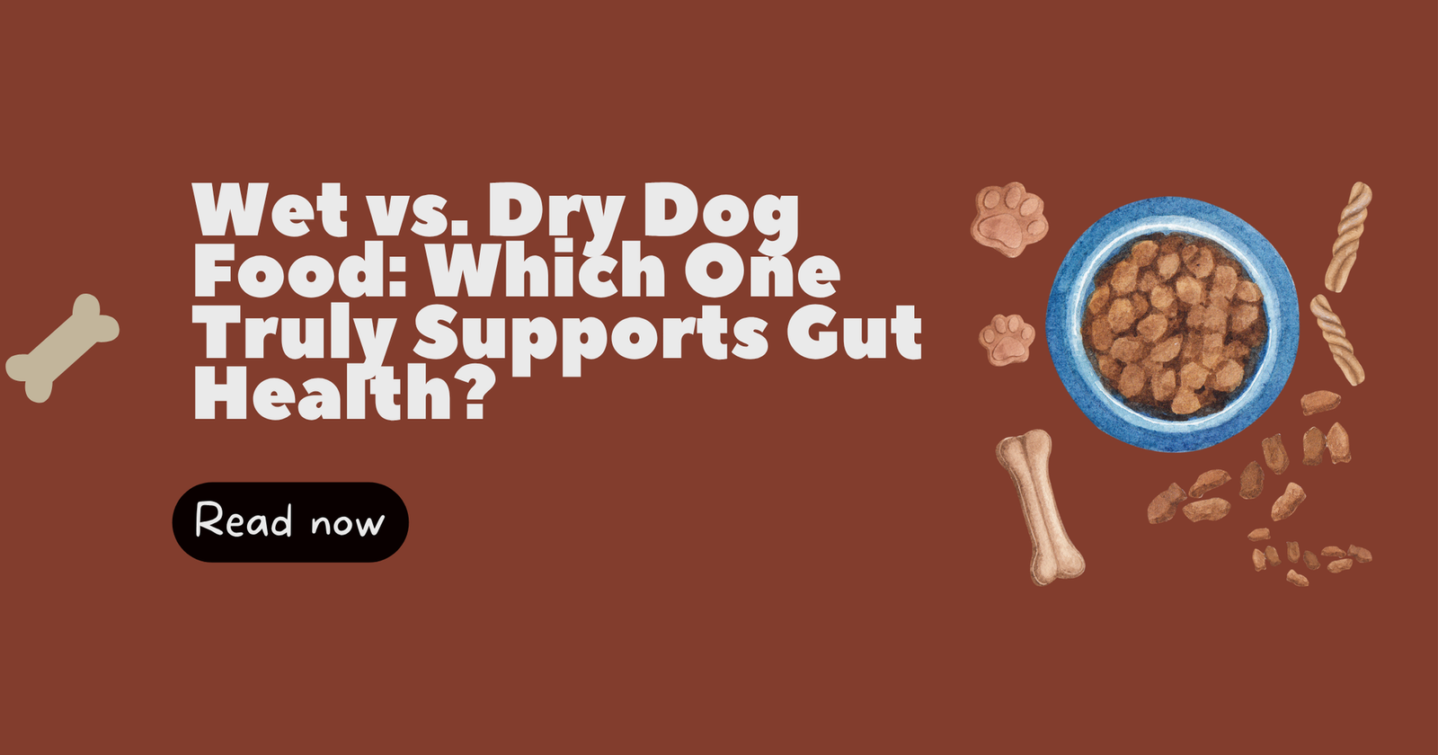 Wet vs. Dry Dog Food, Which One Truly Supports Gut Health?