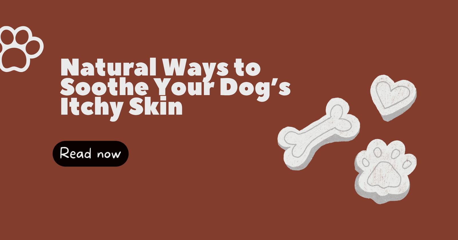 4 Natural Ways to Soothe Your Dog’s Itchy Skin: Restore Comfort the Gentle Way