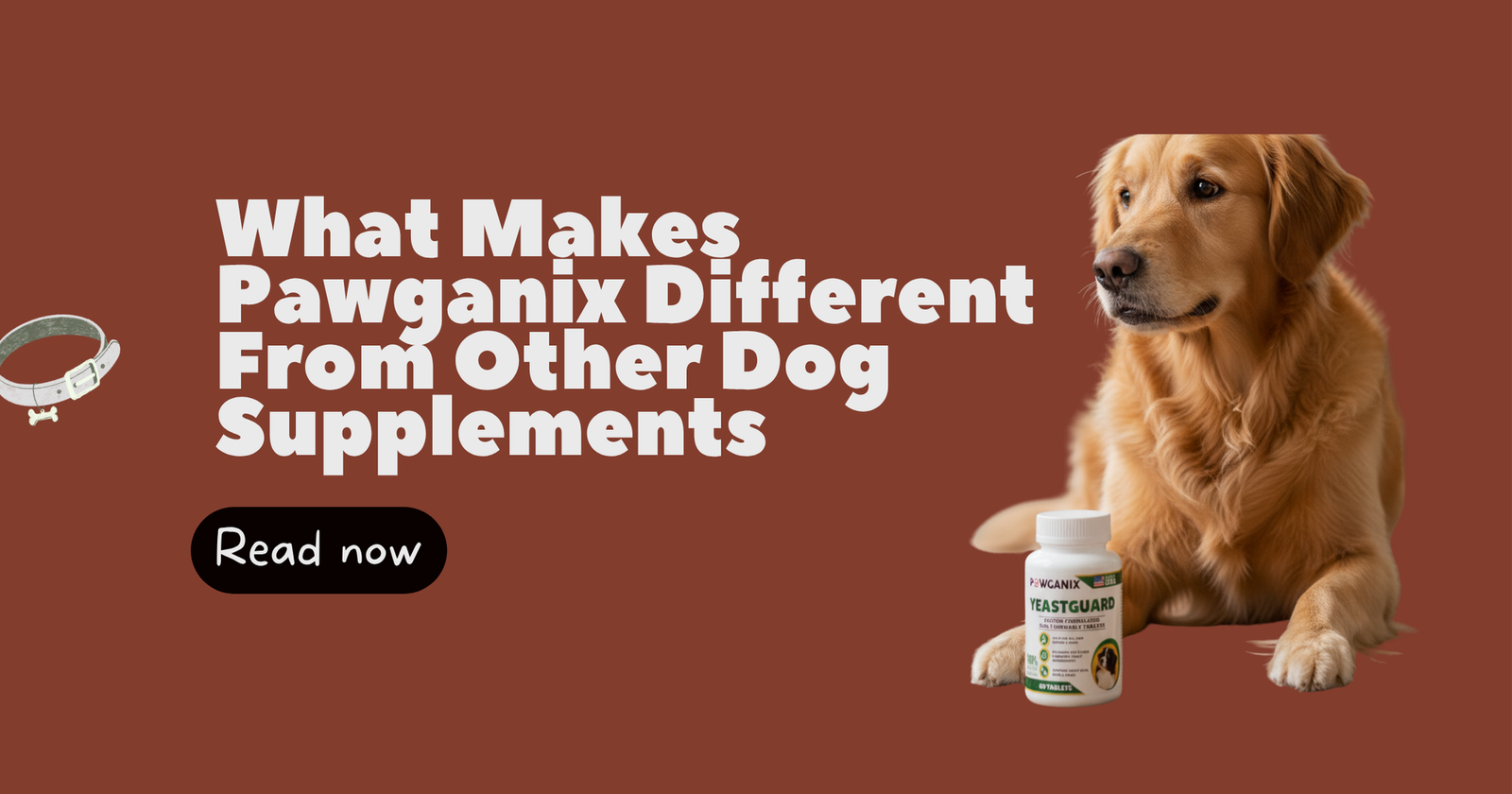 What Makes Pawganix YeastGuard Different From Other Dog Supplements
