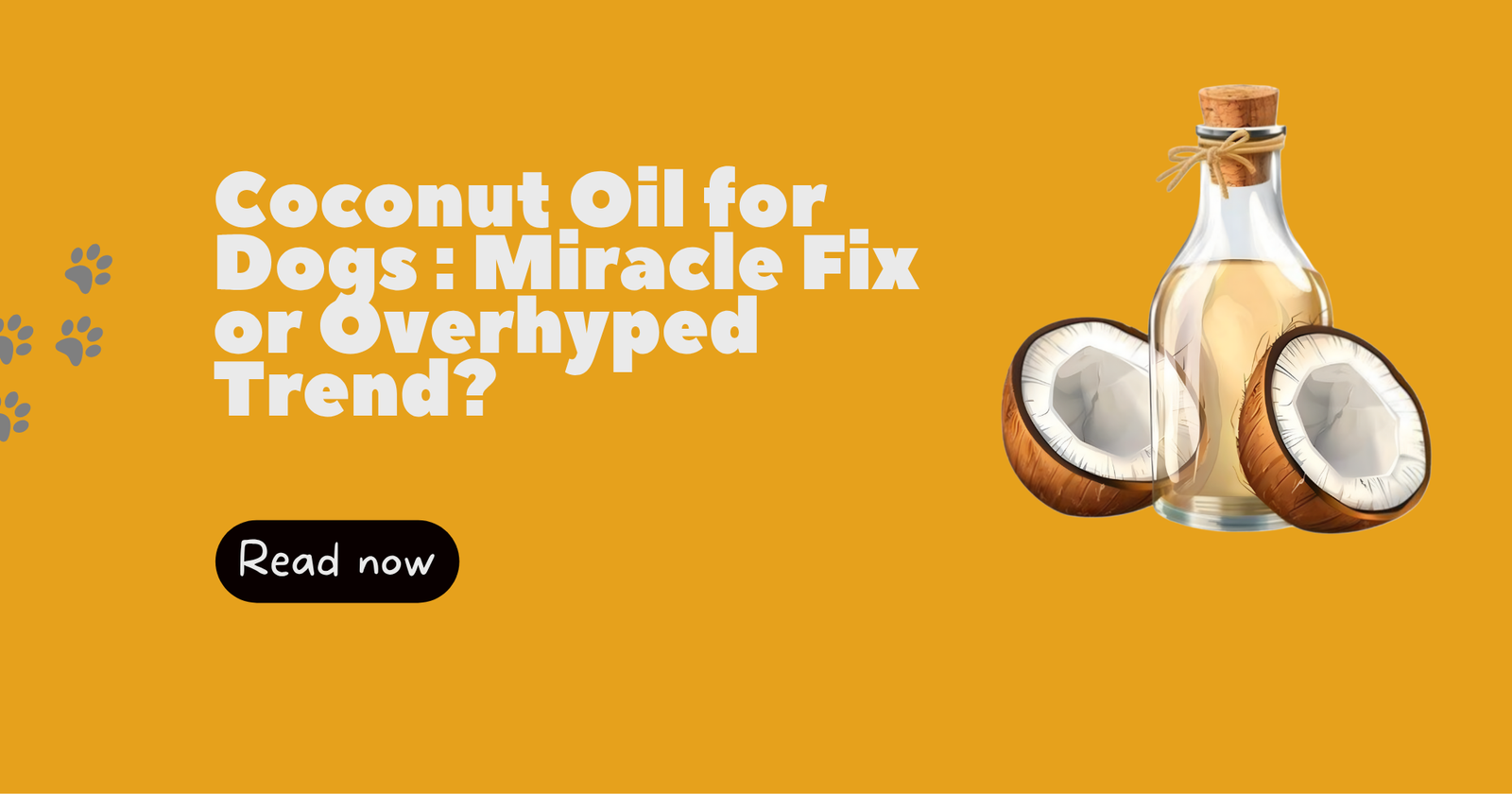 Coconut Oil for Dogs — Miracle Fix or Overhyped Trend?