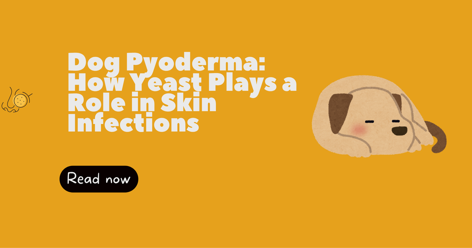 Dog Pyoderma : How Yeast Plays a Role in Skin Infections