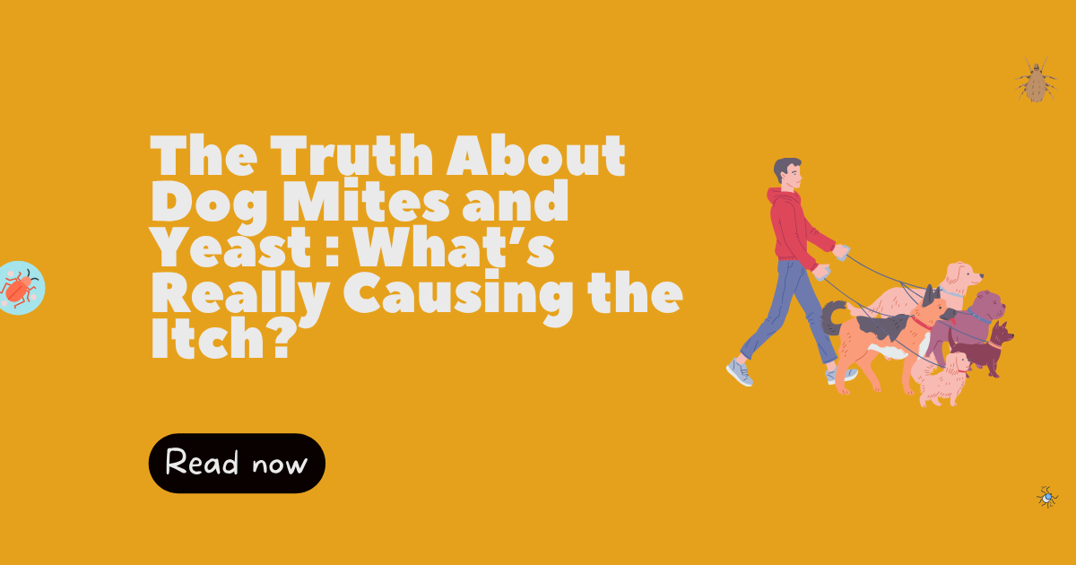 The Truth About Dog Mites and Yeast: What’s Really Causing the Itch?
