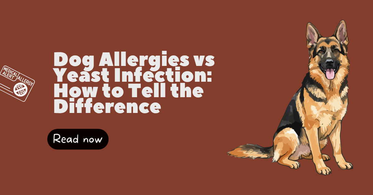 Dog Allergies vs Yeast Infection: How to Tell the Difference and Help Your Dog Feel Better