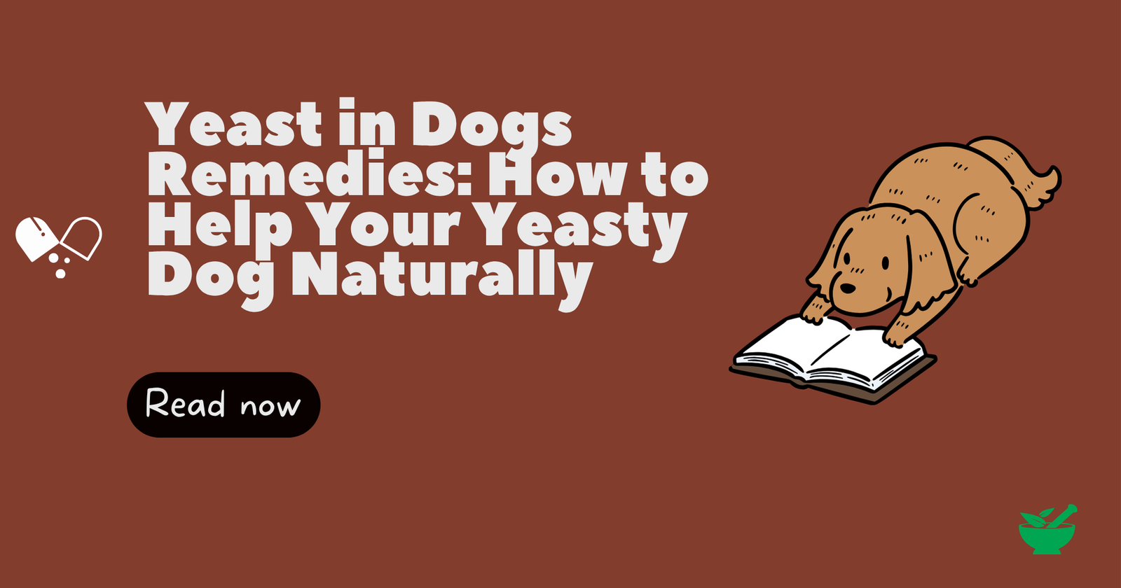 Yeast in Dogs Remedies: How to Help Your Yeasty Dog Naturally