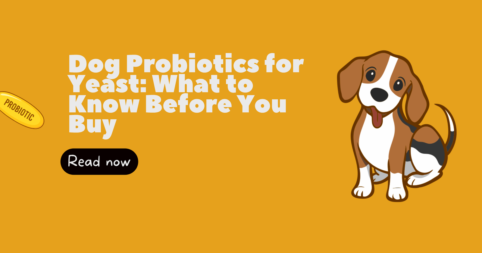Dog Probiotics for Yeast: What to Know Before You Buy