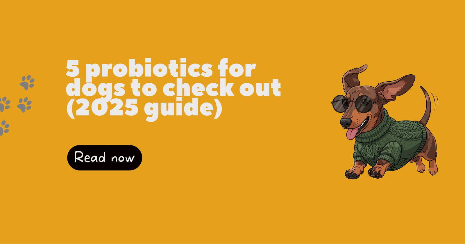 5 probiotics for dogs to check out (2025 guide)