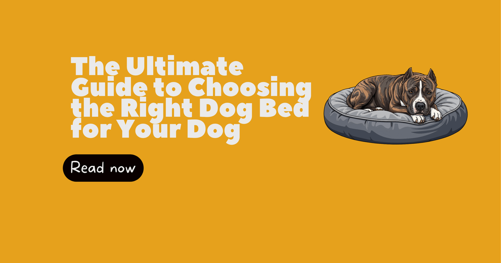 The Ultimate Guide to Choosing the Right Dog Bed for Your Dog