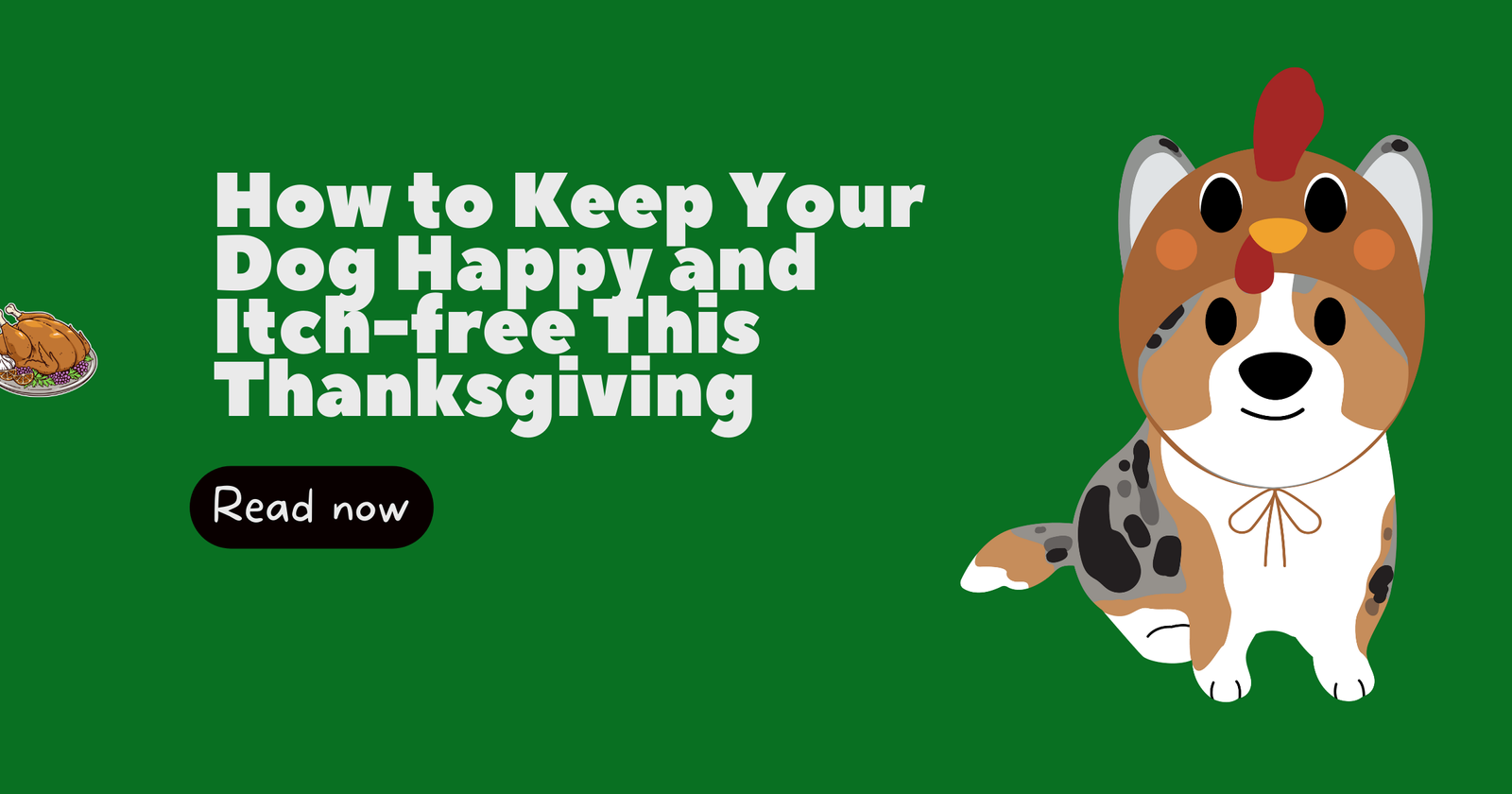 How to Keep Your Dog Happy and Itch-free This Thanksgiving