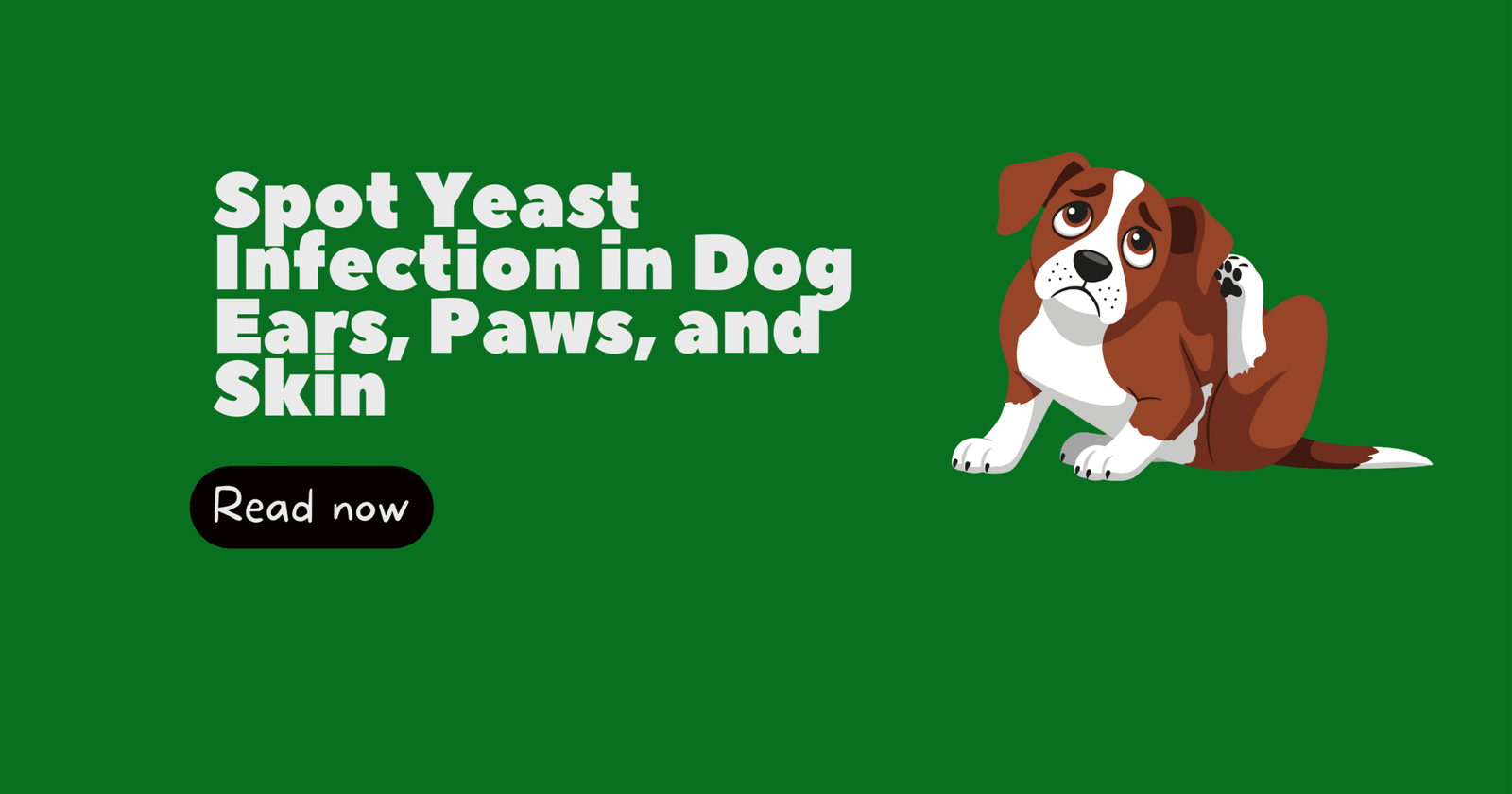 Yeast Infection in Dog Ears, Paws, and Skin: How to Spot and Treat It Naturally
