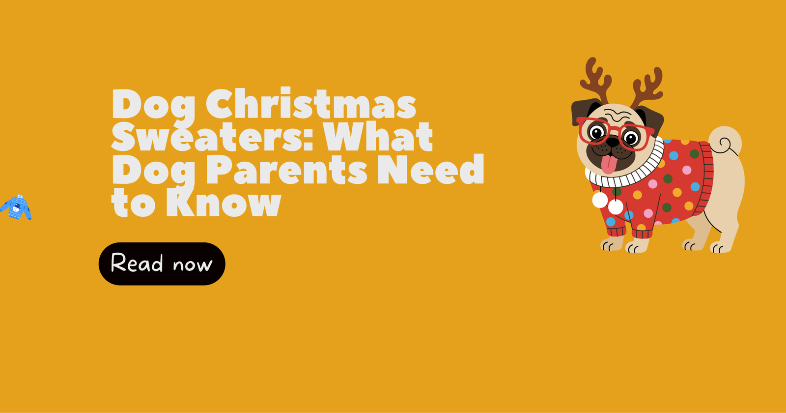 Dog Christmas Sweaters: What Dog Parents Need to Know