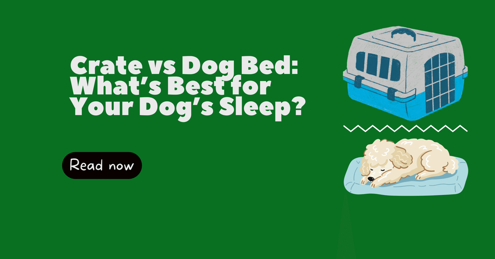Crate or Dog Bed: What’s Better for Your Dog’s Sleep?
